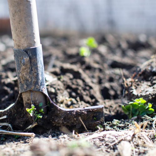 Hoe in ground